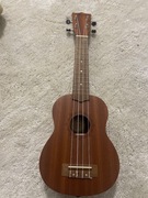 Ukulele Flight NUS310