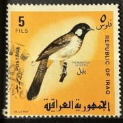 Irak, Ptak (Bilbil białouchy) Nominał: 5 filsów