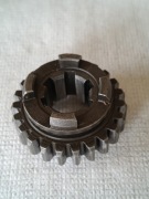 Koło zębate WSK 23 zęby 