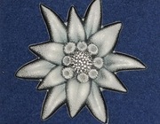 2019 Mongolia 500 Togrog Mountain Star Edelweiss1 oz 