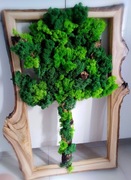 Żywy obraz z chrobotka