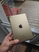 iPad mini 4 Wi-Fi (A1538)
