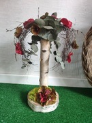 Stroik ozdoba do biura, mieszkania, domu.