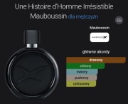 Mauboussin Une Histoire d´Homme Irresistible 90 ml edp