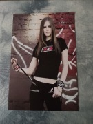 plakat zespołu muzycznego avril lavigne
