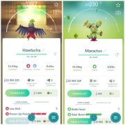 Pokémon GO – Shiny Zestaw | Wymiana | Shiny Havlucha Shiny Maractus