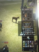 CZARNA OKRĄGŁA TARCZA NNO, 4% YANG