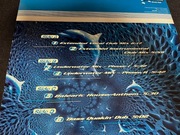 Dolphin's Mind - The Flow (Deep) 2x12'' VG+/VG Trance Hard House