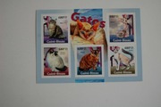 Gwinea Bissau Sw 6300-04** koty domowe /ms/