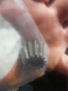 Mtd zebatka skrzyni biegów 717-1760 oryginal