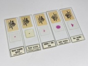 Preparaty mikroskopowe czasów PRL Unikat