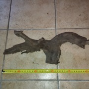 16... KORZEŃ DO AKWARIUM  