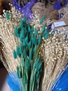 lagurus dmuszek jajowaty trawa suszony ciemno zielony 