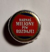 KAPSEL  > BRZESKO < NR 132