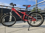 Rower Carrera Junior