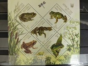 Bloki znaczków  Płazy Ukrainy 2011-2012