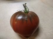 Pomidor Bawole Serce Czarny 