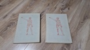 Atlas anatomii człowieka tom II i III Ferenc Kiss