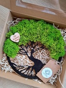 Drzewko z chrobotkiem na Dzień Mamy