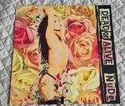 Dead Or Alive - Nude