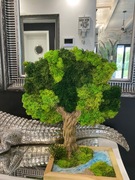 Drzewo z mchu ozdobne