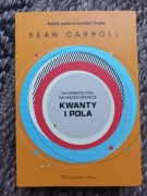 Sean Carroll - Kwanty i pola