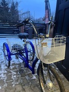 Rower trójkołowy z napędem elektrycznym.