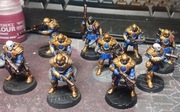 Warhammer Necromunda - Palanite Enforcers gang 10 modeli - malowane