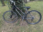 Rower Kelly’s cross crx czarny rower 
