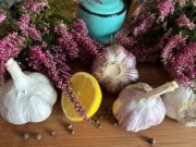 Czosnek polski, odmiana MEGA