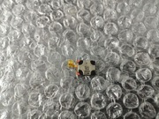 Głośnik rozmów    | Oppo Find X5 Pro 