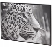 Obraz na ścianę Lampart foto obrazek 28x 38cm