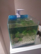 Akwarium 30L z wyposażeniem