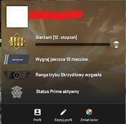 KONTO CS2 PRIME | OKAZJA | Premier ready