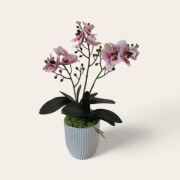 Sztuczny storczyk, dekoracja, prezent