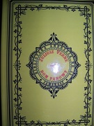 VERNE - DOM PAROWY - PODRÓŻ PO PÓŁNOCNYCH INDIACH- 107 DRZEWORYTÓW