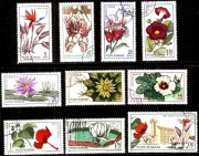 Kwiaty kompletna seria z 1965 roku 