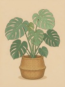 Plakat monstera w koszu zielony boho botaniczny 30x40 do salonu kuchni