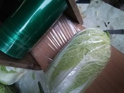 Kapusta pekińska 20 kilo prosto od rolnika wysyłka inpost