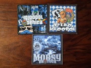 Vlepki Igloopol Dębica #1