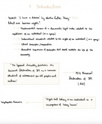 Notatki na egzamin International Protection of HR