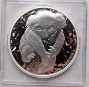 KOALA Australia 2007 + certyfikat fabulous 12