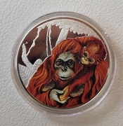 Tuvalu 50 centów, QEII ,  2014 ,  Matczyna troska - orangutan