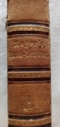 Meyers Hand-Lexikon DES ALLGEMEINEN WISSENS 1871