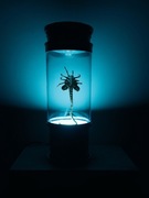 Lampa bluetooth stojąca biurkowa RGB Alien Obcy Xenomorph Facehugger