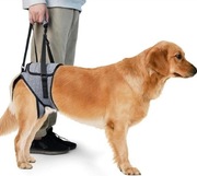 KOMUNJ uprząż dla psa na tylne łapy