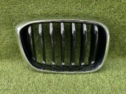 BMW X3 G01 Grill Nerka Prawa