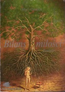 Bilans Miłości - Mary Gordon 
