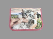 Piórniki szkolne kotek, monster high i Violetta