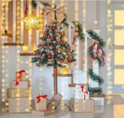 Choinka Na PNIU Sosna Diamentowa 180 CM